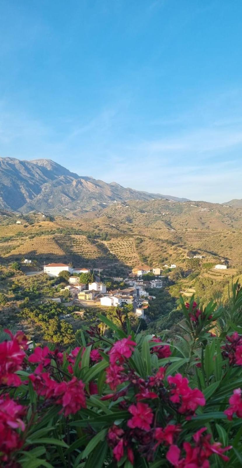 Bed and Breakfast La Vista Viñuela Esterno foto